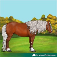 Horse Color:Silver Bay