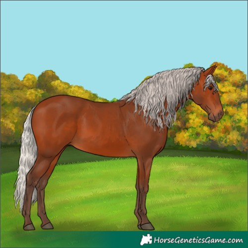Horse Color:Silver Bay 