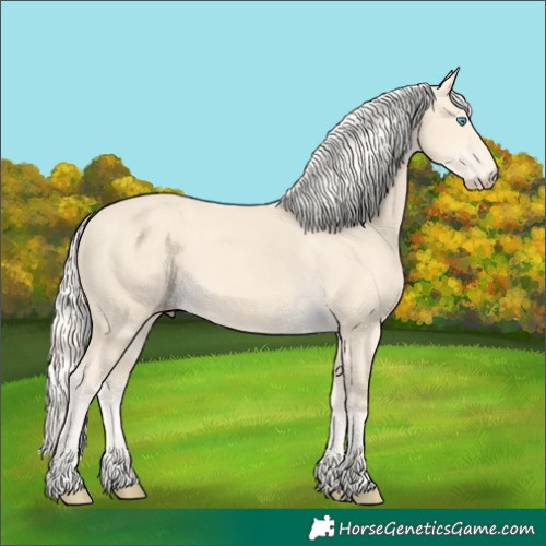 Horse Color:Cremello 