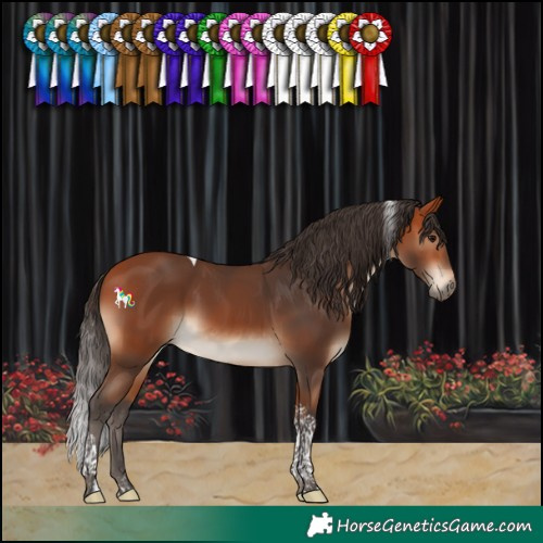 Horse Color:Bay Tobiano 