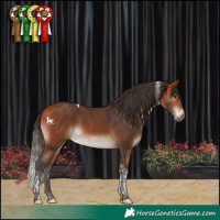 Horse Color:Bay Tobiano 