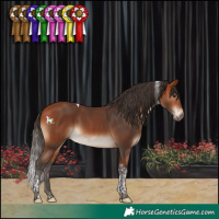 Horse Color:Bay Tobiano 
