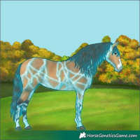 Horse Color:Thunderstruck Buckskin