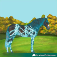 Horse Color:Thunderstruck Brown Tobiano