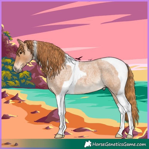 Horse Color:Red Roan Tobiano 