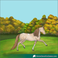 Horse Color:Smoky Black Snowdrop Tobiano