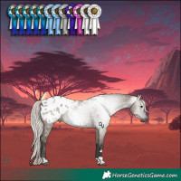 Horse Color:Gray Silver Grullo Tobiano Appaloosa