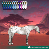 Horse Color:Gray Silver Grullo Tobiano Appaloosa