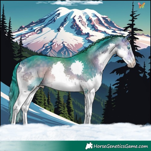 Horse Color:Watercolor Buckskin Onyx Splash Tobiano 