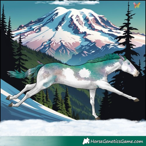Horse Color:Watercolor Buckskin Onyx Splash Tobiano 