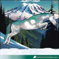 Horse Color:Watercolor Buckskin Onyx Splash Tobiano 