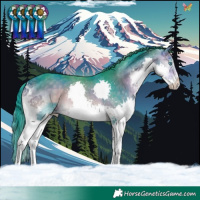 Horse Color:Watercolor Buckskin Onyx Splash Tobiano