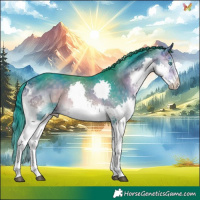 Horse Color:Watercolor Buckskin Onyx Splash Tobiano 