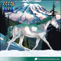 Horse Color:Watercolor Buckskin Onyx Splash Tobiano