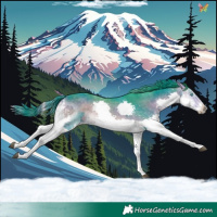 Horse Color:Watercolor Buckskin Onyx Splash Tobiano