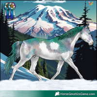 Horse Color:Watercolor Buckskin Onyx Splash Tobiano
