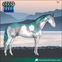 Horse Color:Watercolor Buckskin Onyx Splash Tobiano