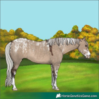 Horse Color:Powder White Silver Brown Dun Rabicano