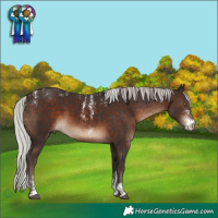 Horse Color:Powder White Silver Brown 