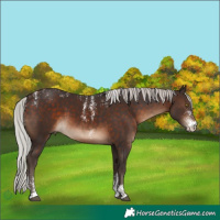 Horse Color:Powder White Silver Brown 