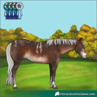 Horse Color:Powder White Silver Brown