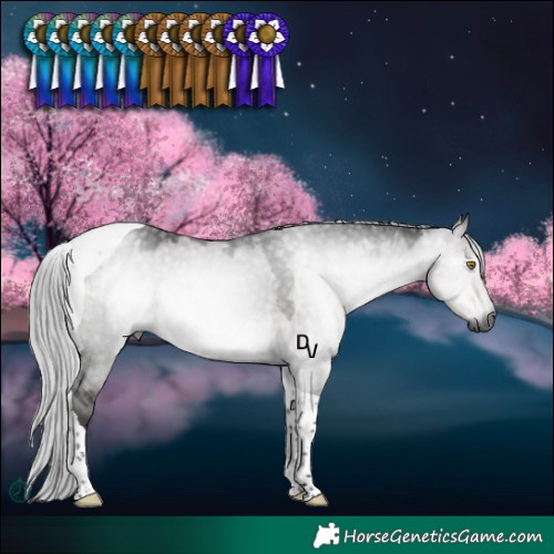 Horse Color:Gray Platinum Silver Buckskin Dun Tobiano 