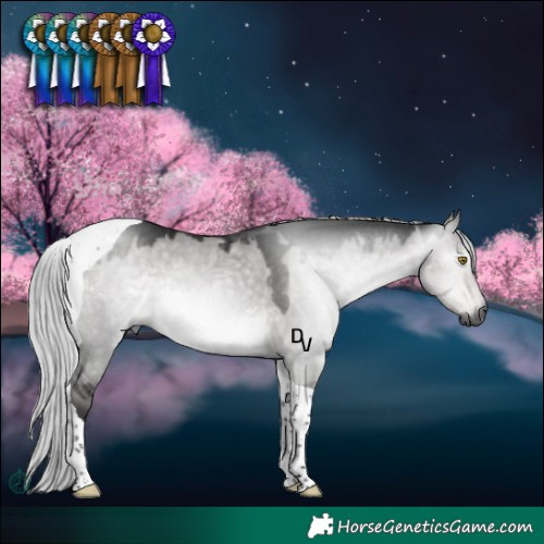 Horse Color:Gray Platinum Silver Buckskin Dun Tobiano 