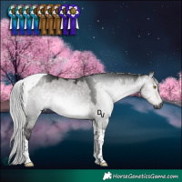 Horse Color:Gray Platinum Silver Buckskin Dun Tobiano 