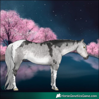 Horse Color:Gray Platinum Silver Buckskin Dun Tobiano