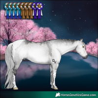 Horse Color:Gray Platinum Silver Buckskin Dun Tobiano