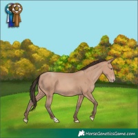 Horse Color:Amber Champagne 