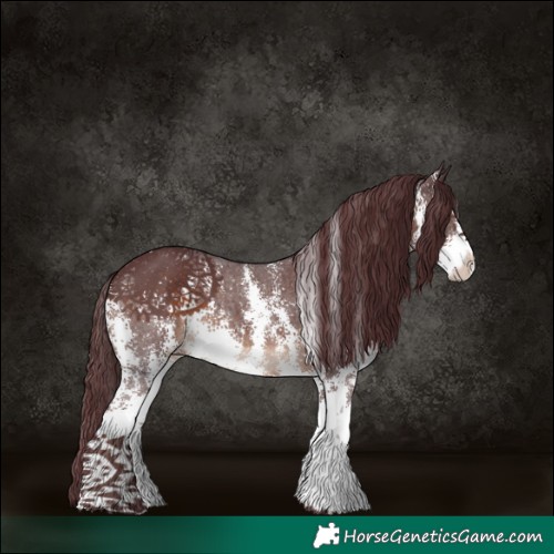 Horse Color:Chocolate Brown Sabino 