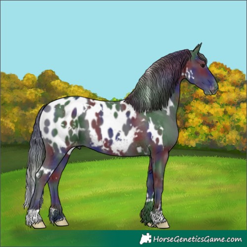 Horse Color:Nacre White Spotted Black Near Leopard 