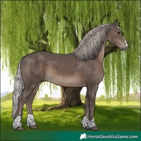 Horse Color:Silver Black 