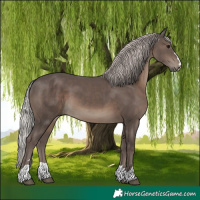 Horse Color:Silver Black 
