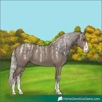 Horse Color:Powder White Silver Grullo 