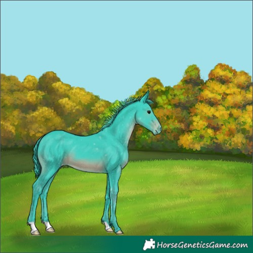 Horse Color:Watercolor Black Varnish 