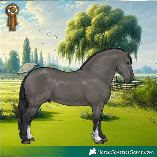Horse Color:Grullo Sabino Rabicano 