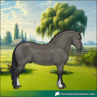 Horse Color:Grullo Sabino Rabicano 