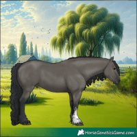 Horse Color:Grullo Sabino Rabicano 