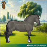Horse Color:Grullo Sabino Rabicano 