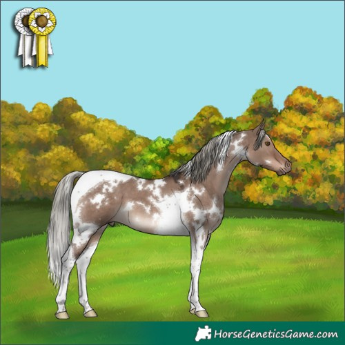 Horse Color:White Spotted Liver Red Dun Mushroom Tobiano 