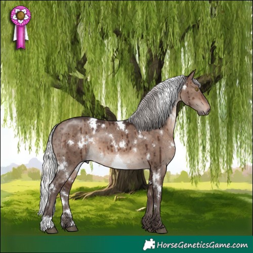 Horse Color:White Spotted Silver Brown Dun Mushroom Brindle 