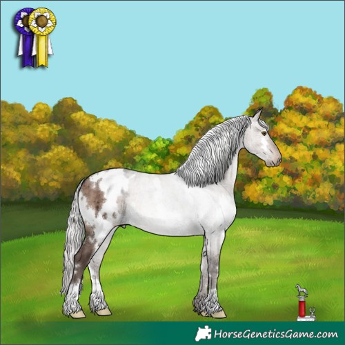 Horse Color:White Spotted Silver Brown Dun Mushroom Brindle 