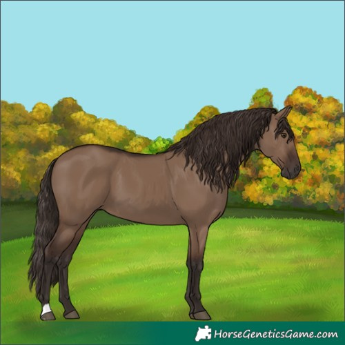 Horse Color:Liver Red Dun 