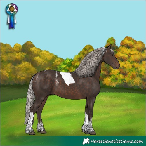 Horse Color:Powder White Silver Brown Tobiano 