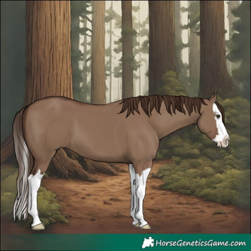 Horse Color:Liver Red Dun Splash 