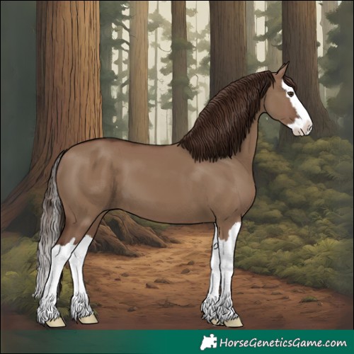 Horse Color:Liver Red Dun Splash 