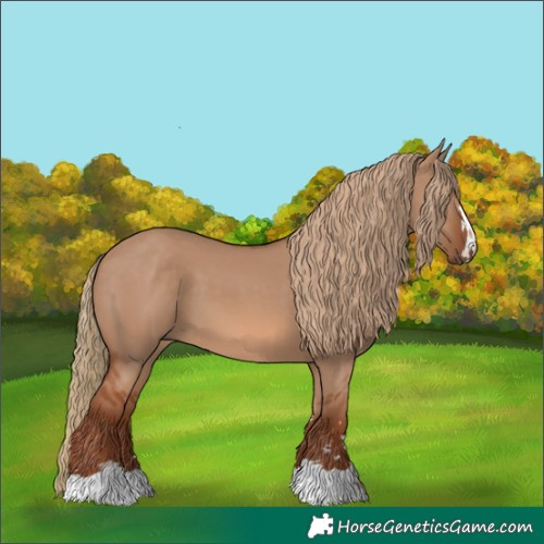 Horse Color:Red Dun 