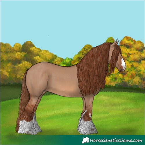 Horse Color:Red Dun 